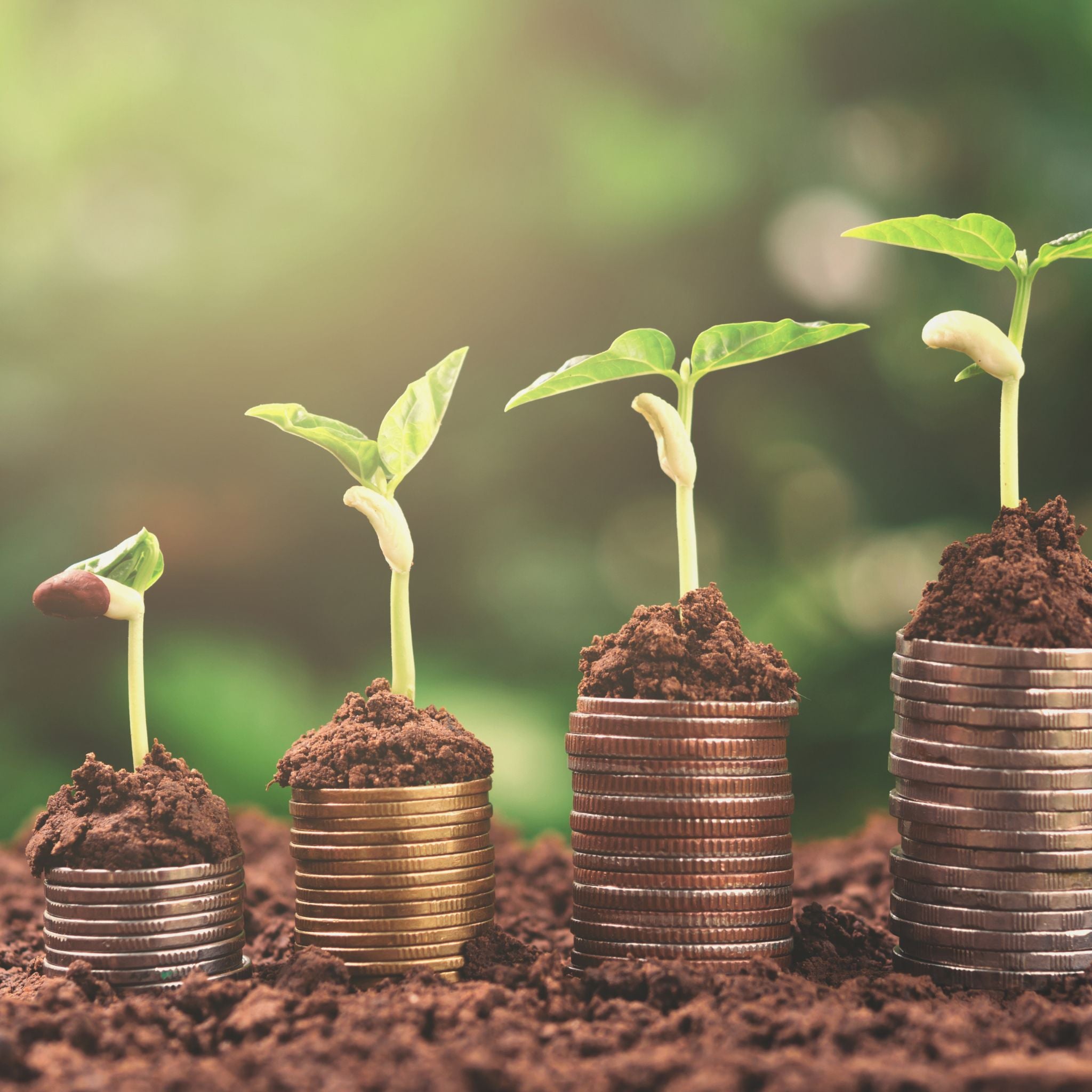 prodperity and success gemstone Jewellery