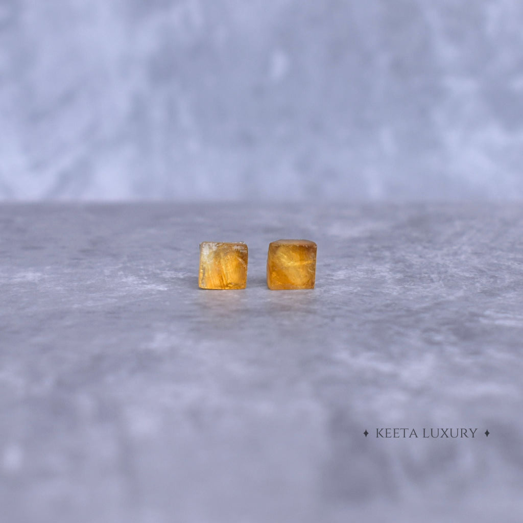 Boho Bloom - Citrine Studs Earrings