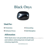 Black Cushion - Onyx Studs Earrings