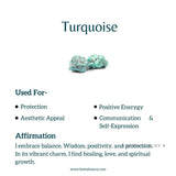 Leaf Lore - Turquoise Studs Earrings